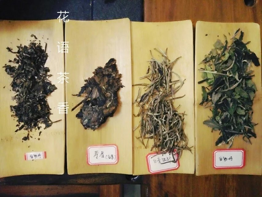 白茶课堂茶叶