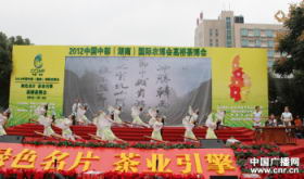 高桥茶博会茶艺师表演